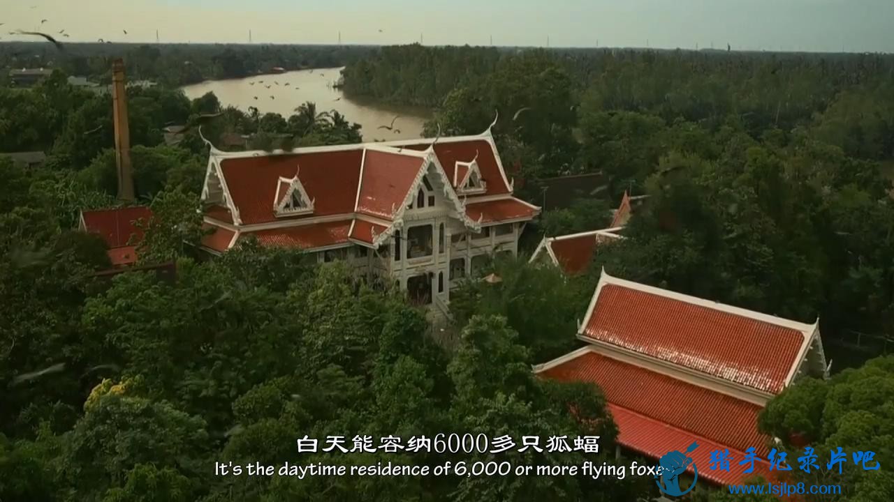 .̩.BBC.Thailand.Earths.Tropical.Paradise.OragneĻ.720p[ڶ.jpg