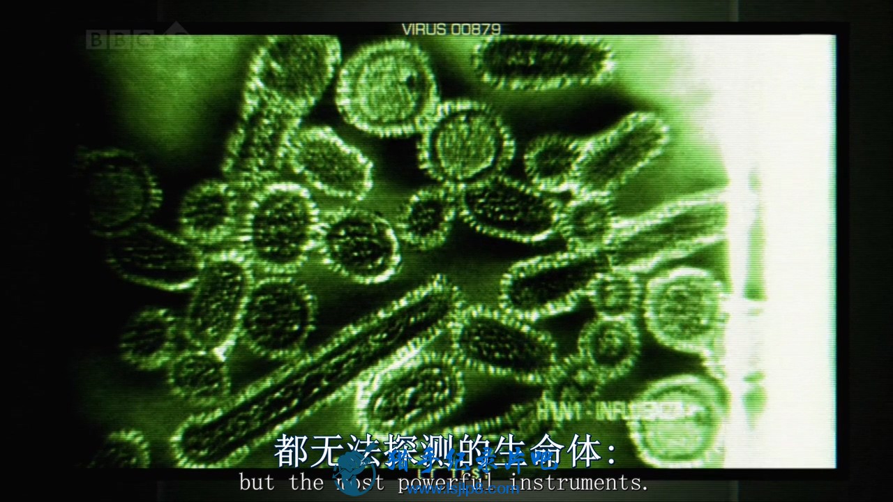 BBC.Horizon.2010.Why.Do.Viruses.Kill.HDTV.x264.AC3.MVGroup.org.mkv_20200201_165108.710.jpg