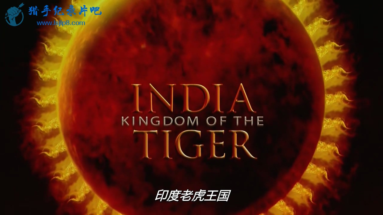 imax.india.kingdom.of.the.tiger.720p.mkv_20200807_100436.499.jpg