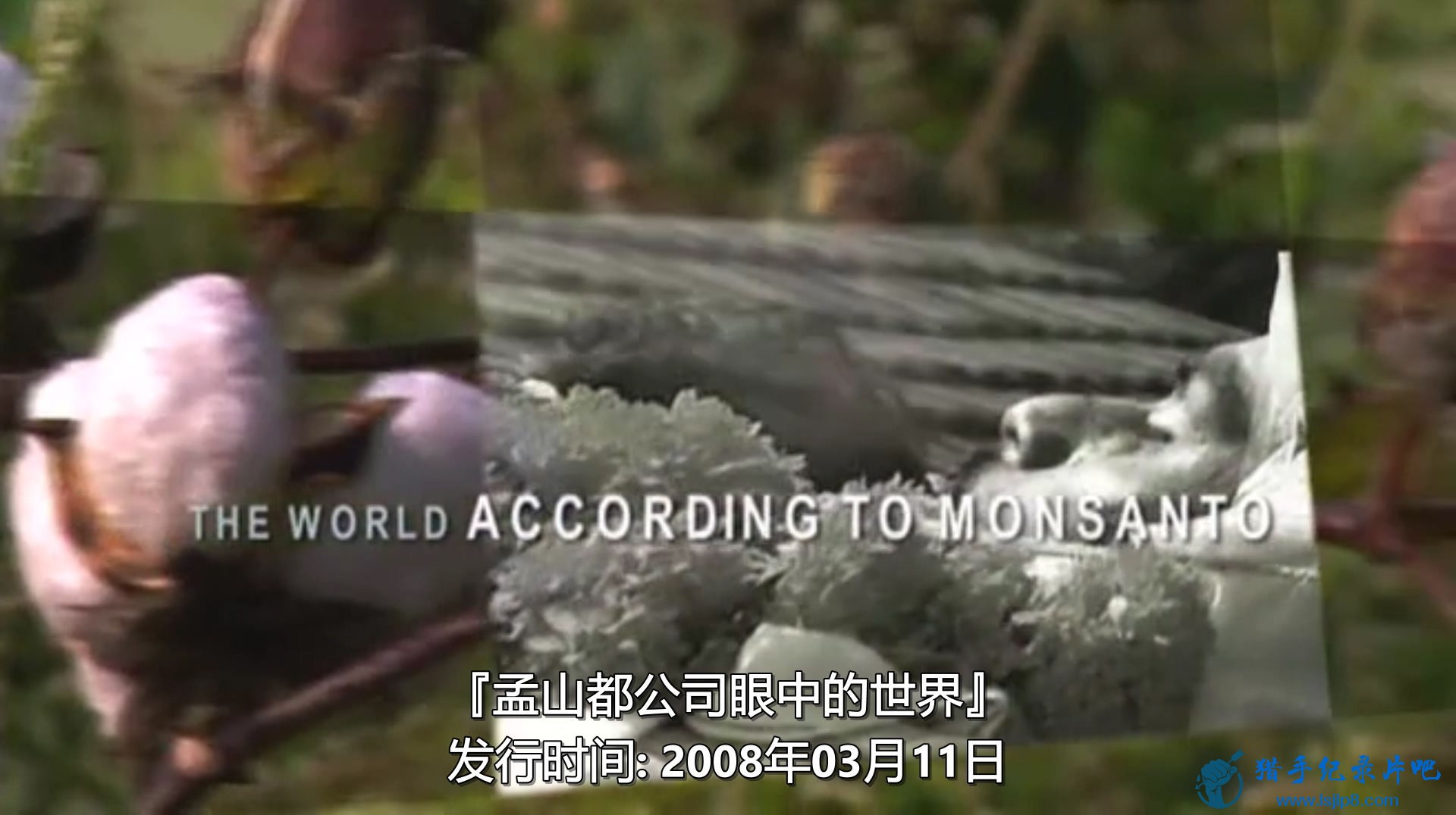 [ɽ˾е].The.World.According.To.Monsanto.(2008).DVDRip.AAC.X264-TnT.jpg