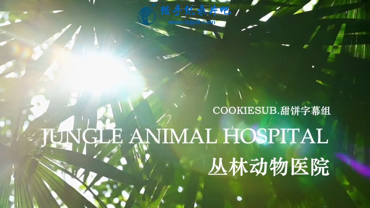 BBC.Ȼ.ֶҽԺ.Natural.World.Jungle.Animal.Hospital.2016.ӢĻ.HDT.jpg