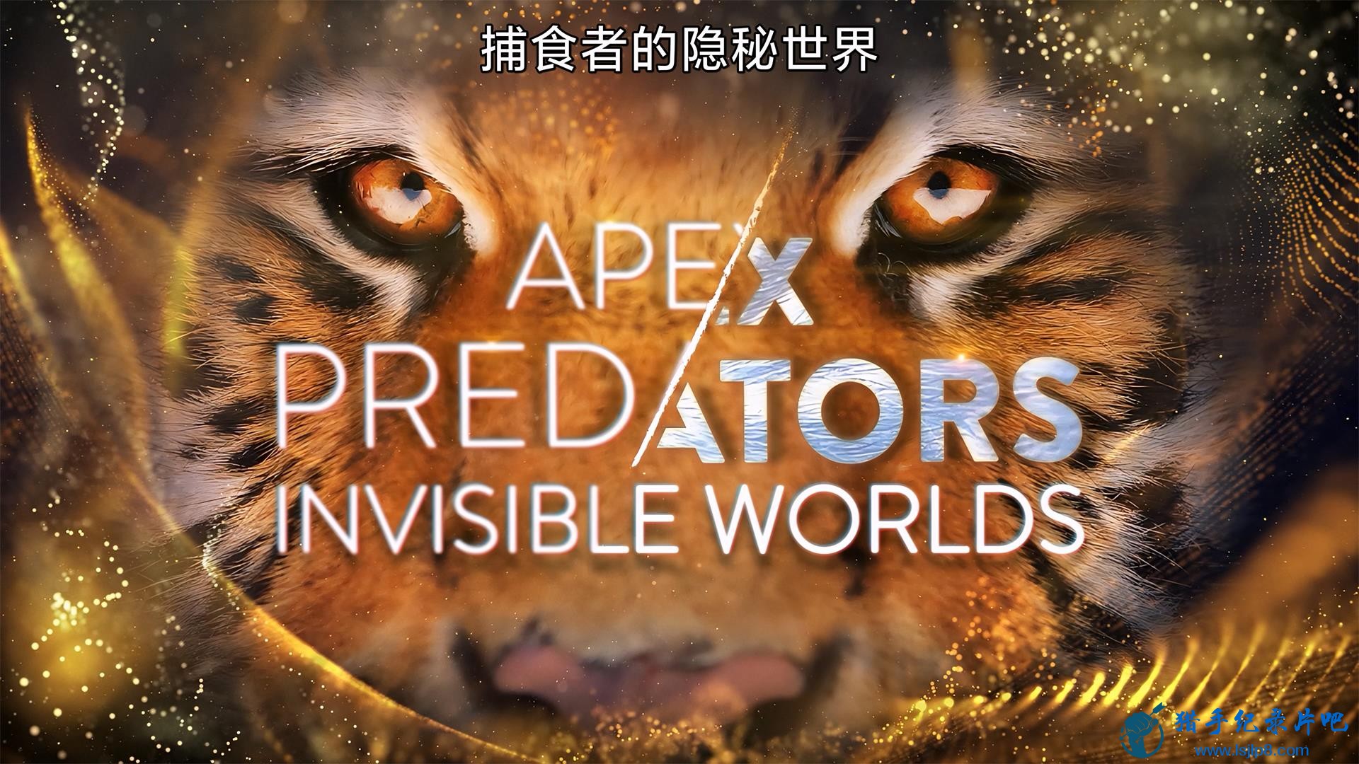 Apex.Predators.Invisible.Worlds.S01E01.2024.2160p.WEB-DL.H265.HQ.AAC2.0.2.jpg
